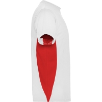 Outlet Camiseta Roly Tokyo | Toleshop