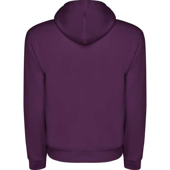 Sudadera Roly Capucha Infantil | Toleshop