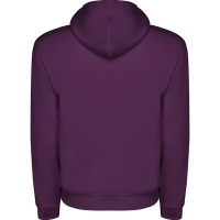 Sudadera Roly Capucha Infantil | Toleshop