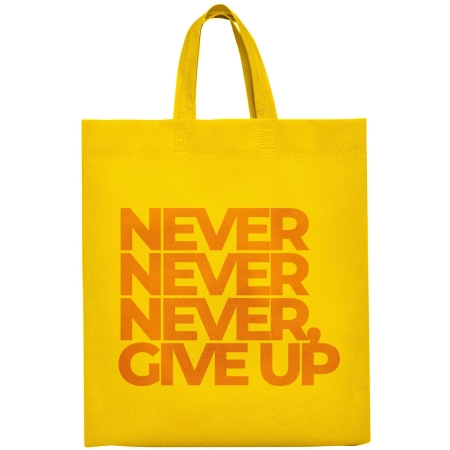 Bolsa Non Woven Stamina Lake |Toleshop 2
