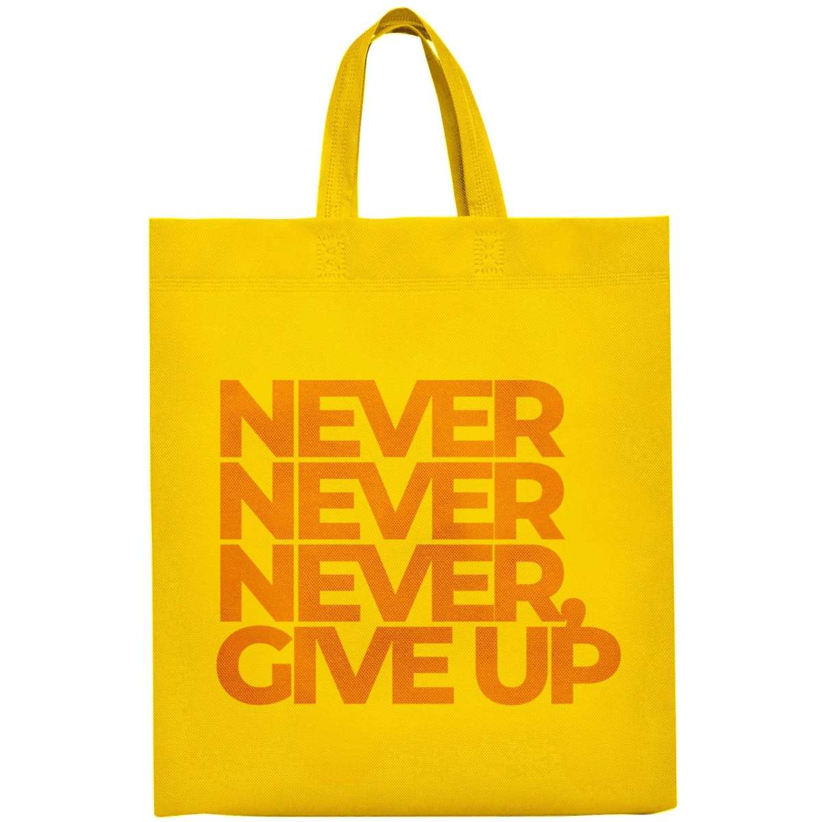 Bolsa Non Woven Stamina Lake |Toleshop