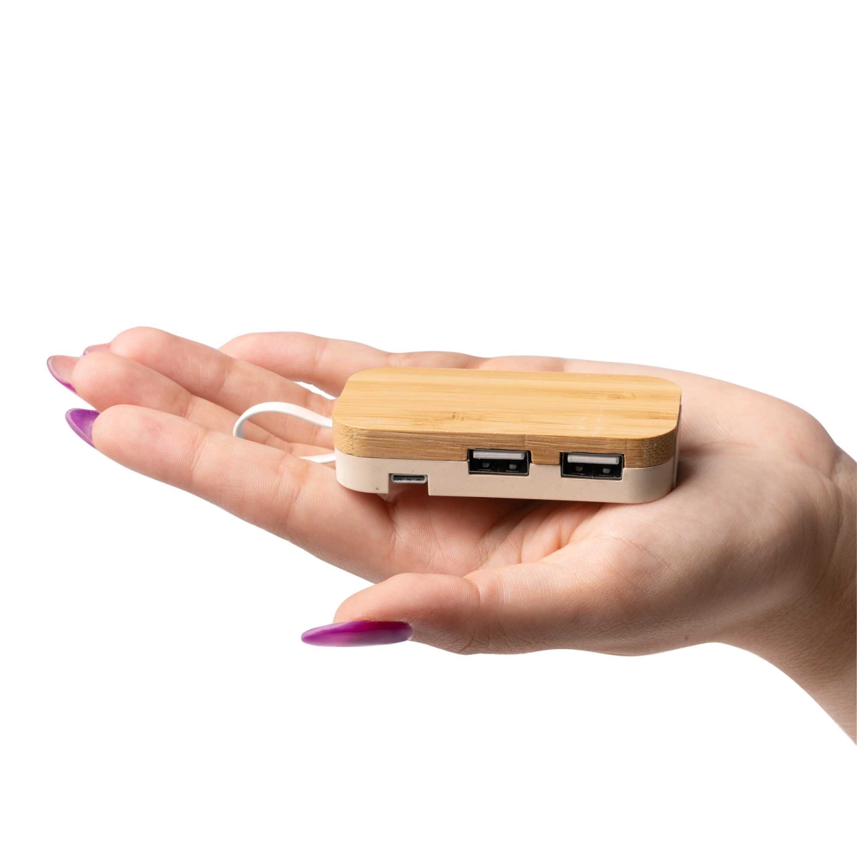 Puerto USB con Soporte Stamina Kruse |Toleshop