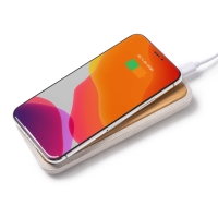 Batería Externa Stamina Blaster |Toleshop