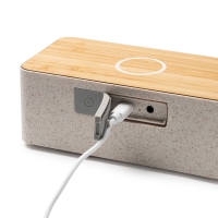 Altavoz Bluetooth con Cargador Inalámbrico Stamina Zatox | Toleshop