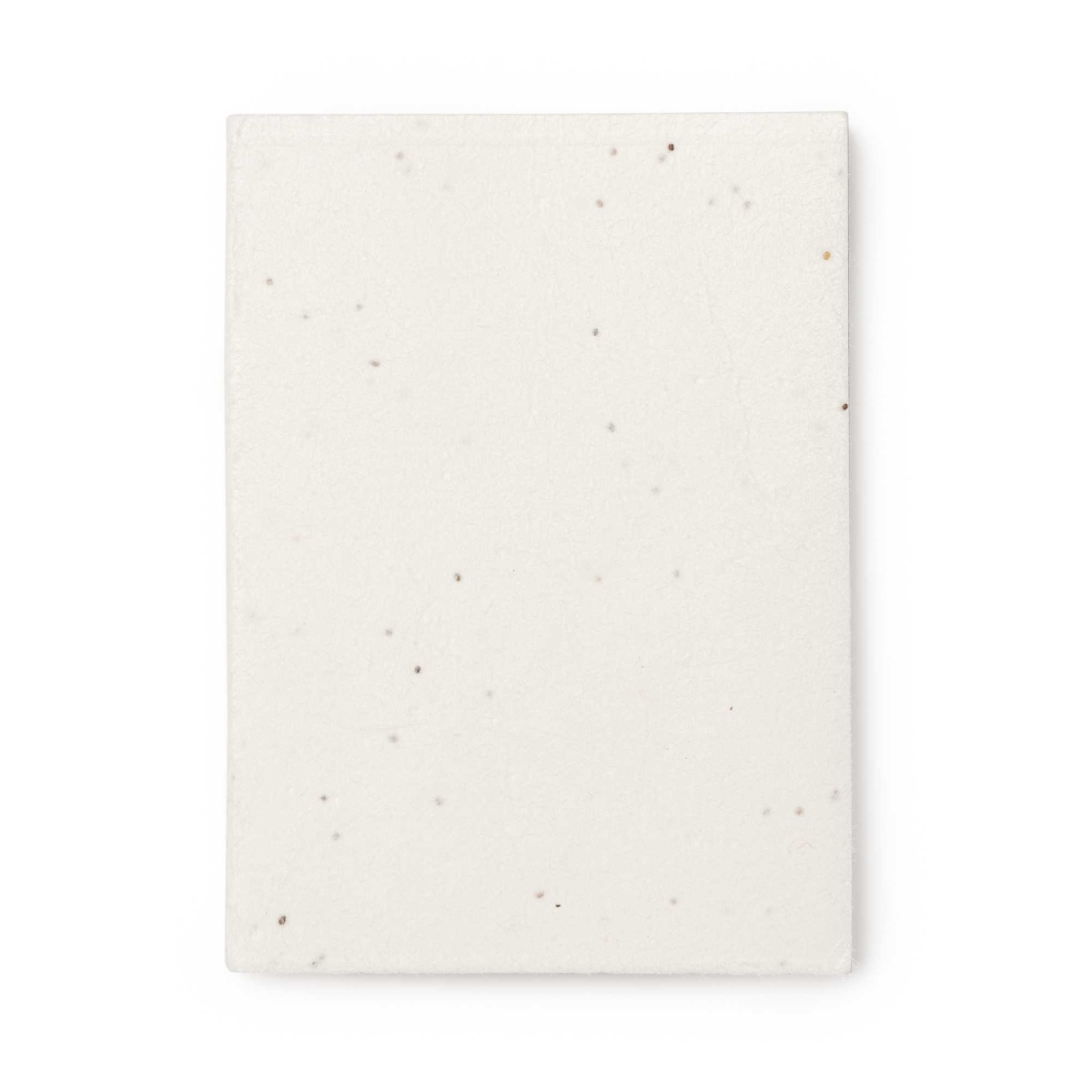 Bloc de Notas Cubiertas de Papel Reciclable y Degradable con Semillas Stamina Garo | Toleshop