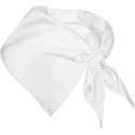 Pañuelo Roly Festero 9003 Unisex Pack 100 unidades