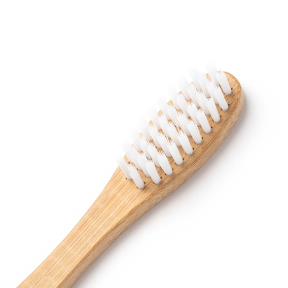 Cepillo Dental Stamina Fresh | Toleshop