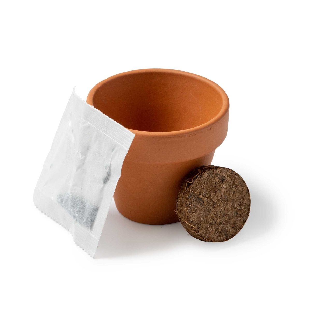 Maceta con Semillas de Girasol Stamina Girax %separator% %shop-name%
