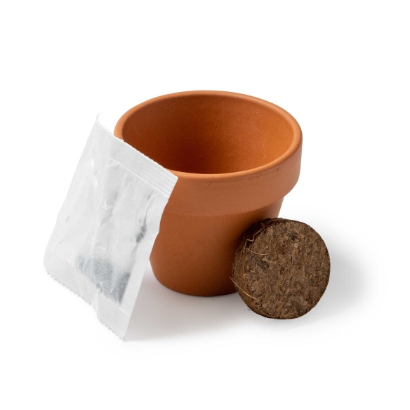 Maceta con Semillas de Girasol Stamina Girax %separator% %shop-name%