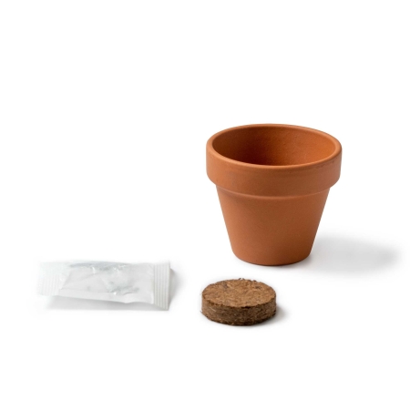 Maceta con Semillas de Girasol Stamina Girax %separator% %shop-name% 2