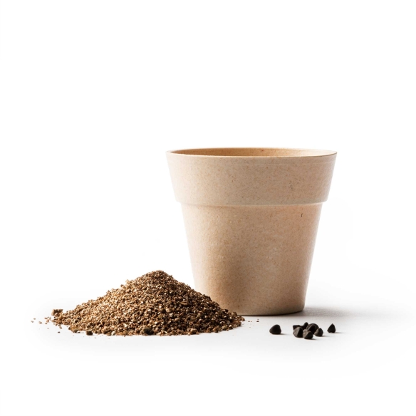 Maceta Biodegradable con Semillas de Petunia Stamina Volen %separator% %shop-name%