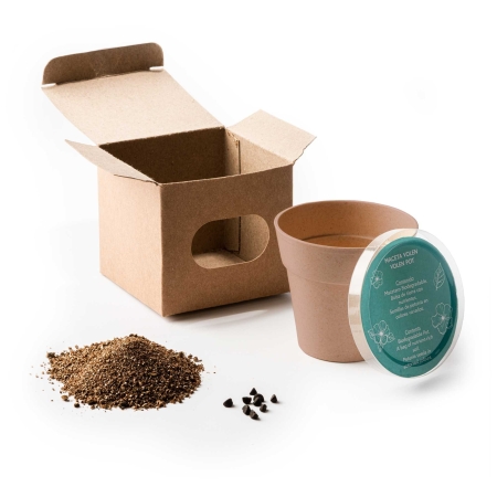 Maceta Biodegradable con Semillas de Petunia Stamina Volen %separator% %shop-name% 2