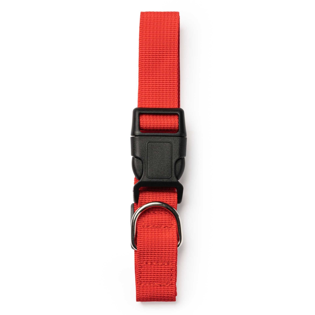 Collar Para Mascotas Stamina Korat | Toleshop