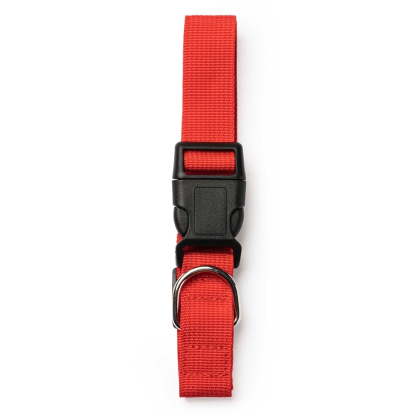 Collar Para Mascotas Stamina Korat | Toleshop