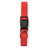 Collar Para Mascotas Stamina Korat | Toleshop