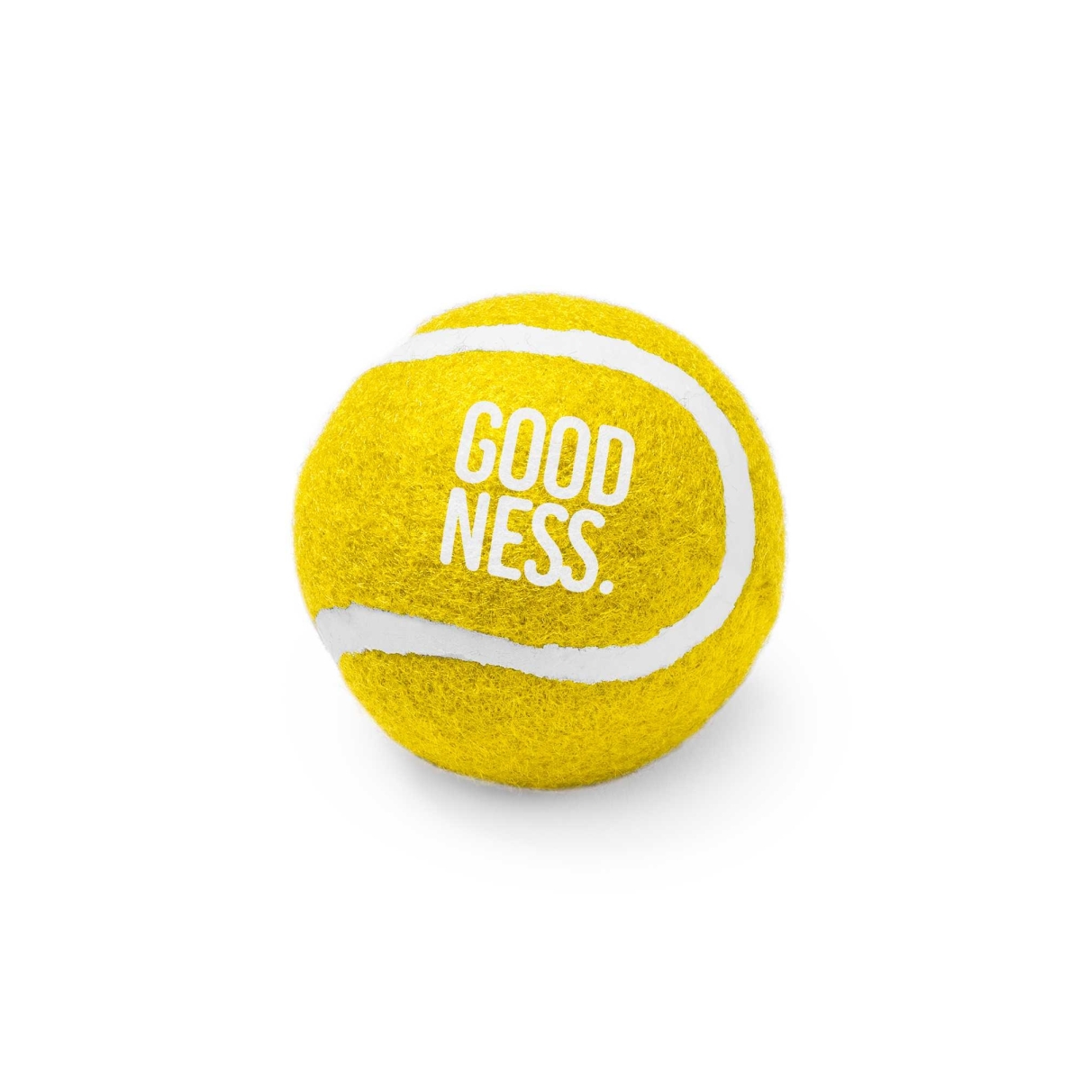 Pelota Para Mascotas Stamina Lanza | Toleshop