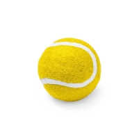 Pelota Para Mascotas Stamina Lanza | Toleshop