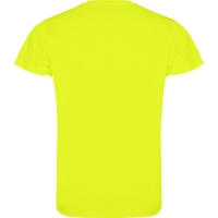 Camiseta Roly Camimera | Toleshop
