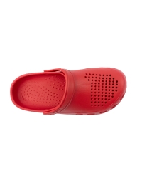Zueco Roly Dan | Toleshop