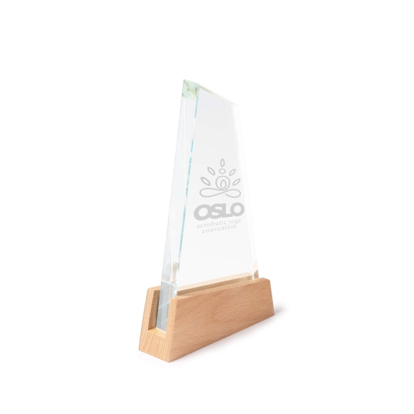 Trofeo De Cristal Stamina Navis | Toleshop