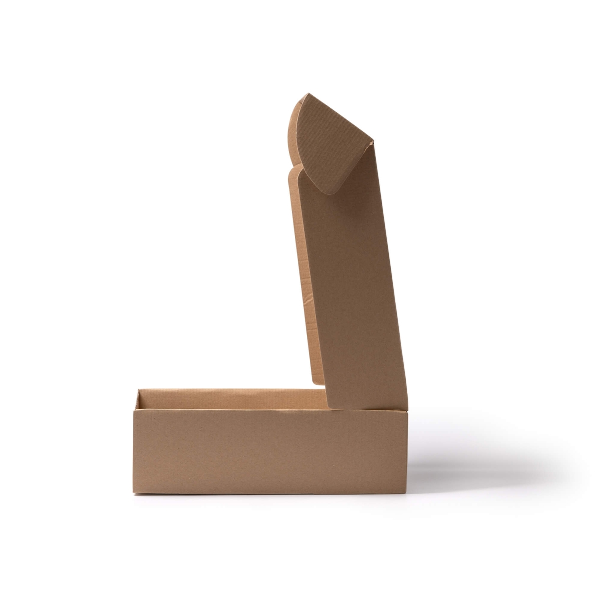 Caja de Presentación para Regalo Dora | Toleshop