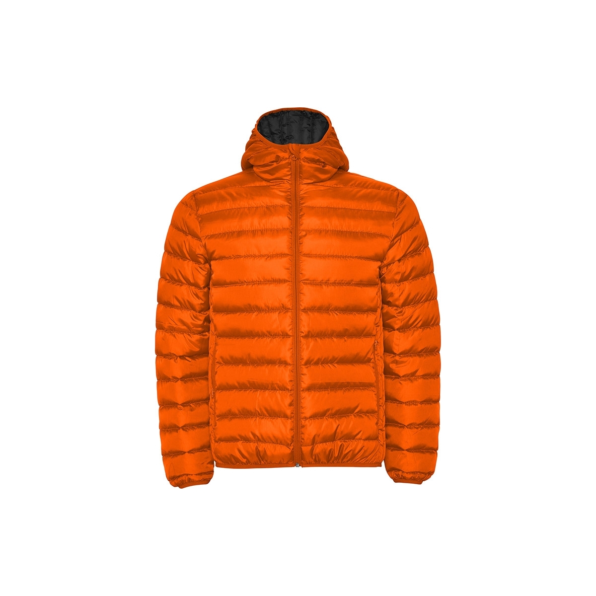 Outlet Chaqueta Roly Norway | Toleshop