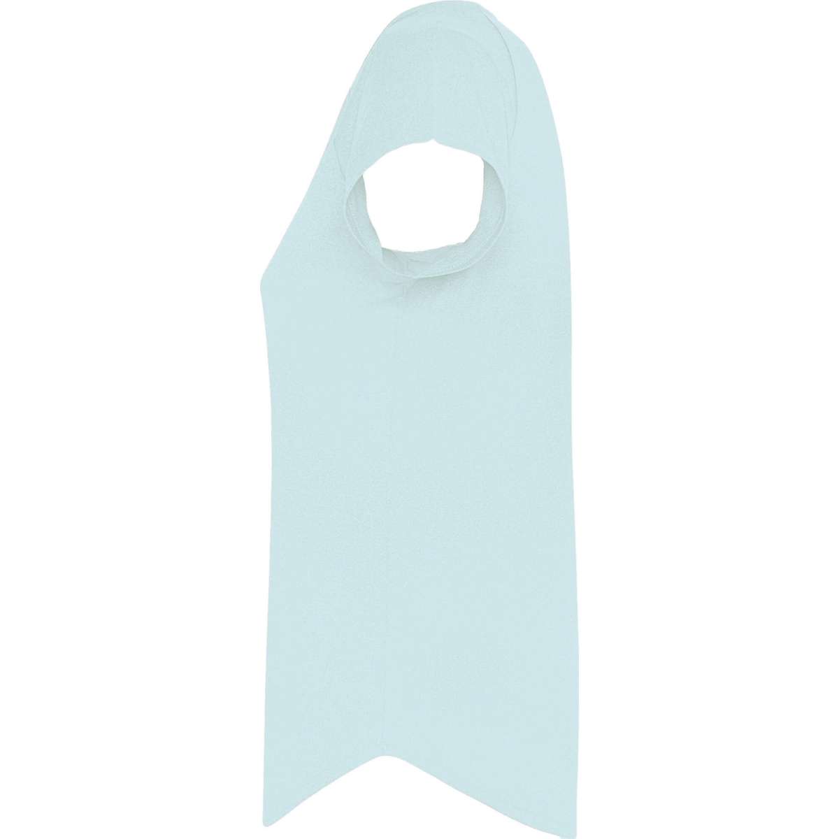Camiseta Roly Avus | Toleshop
