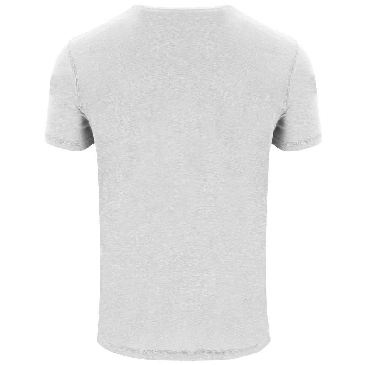 Camiseta Roly Terrier | Toleshop