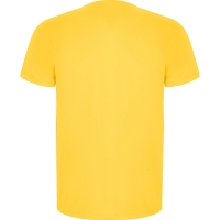 Camiseta Roly Imola | Toleshop