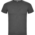 Camiseta Roly Fox Hombre 6660