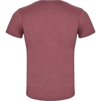 Camiseta Roly Fox | Toleshop