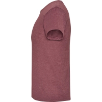 Camiseta Roly Fox | Toleshop