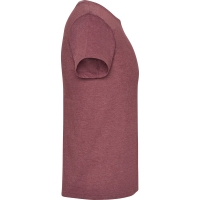 Camiseta Roly Fox | Toleshop
