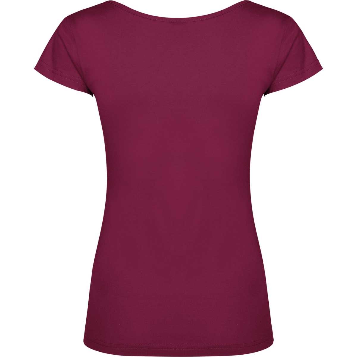 Camiseta Roly Guadalupe | Toleshop