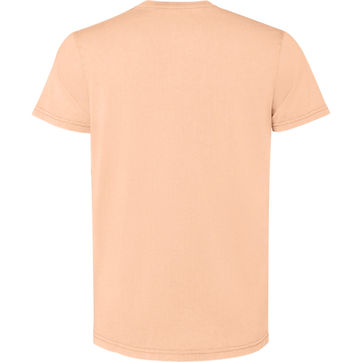 Camiseta Roly Corgi | Toleshop