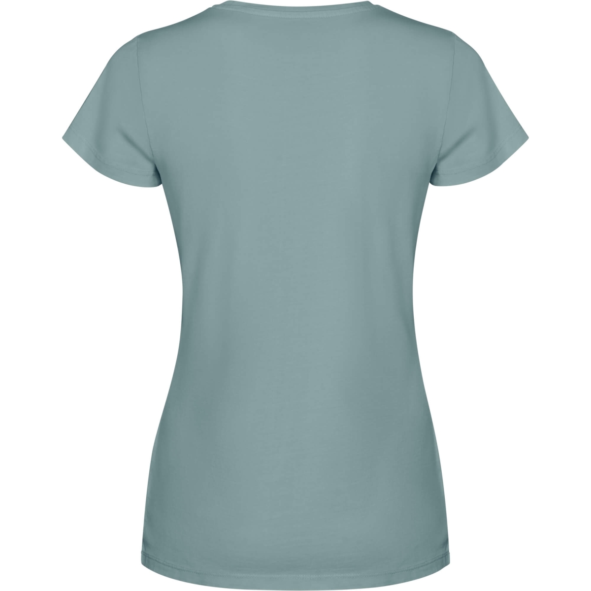 Camiseta Roly Fiyi | Toleshop