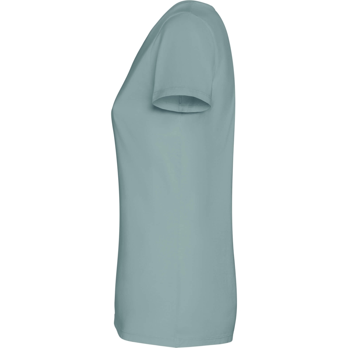 Camiseta Roly Fiyi | Toleshop