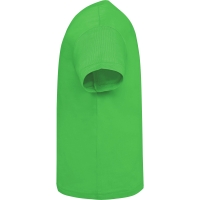 Camiseta Roly Baby | Toleshop
