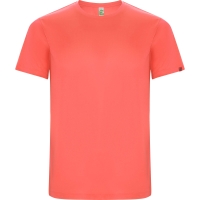 Camiseta Roly Imola Infantil | Toleshop