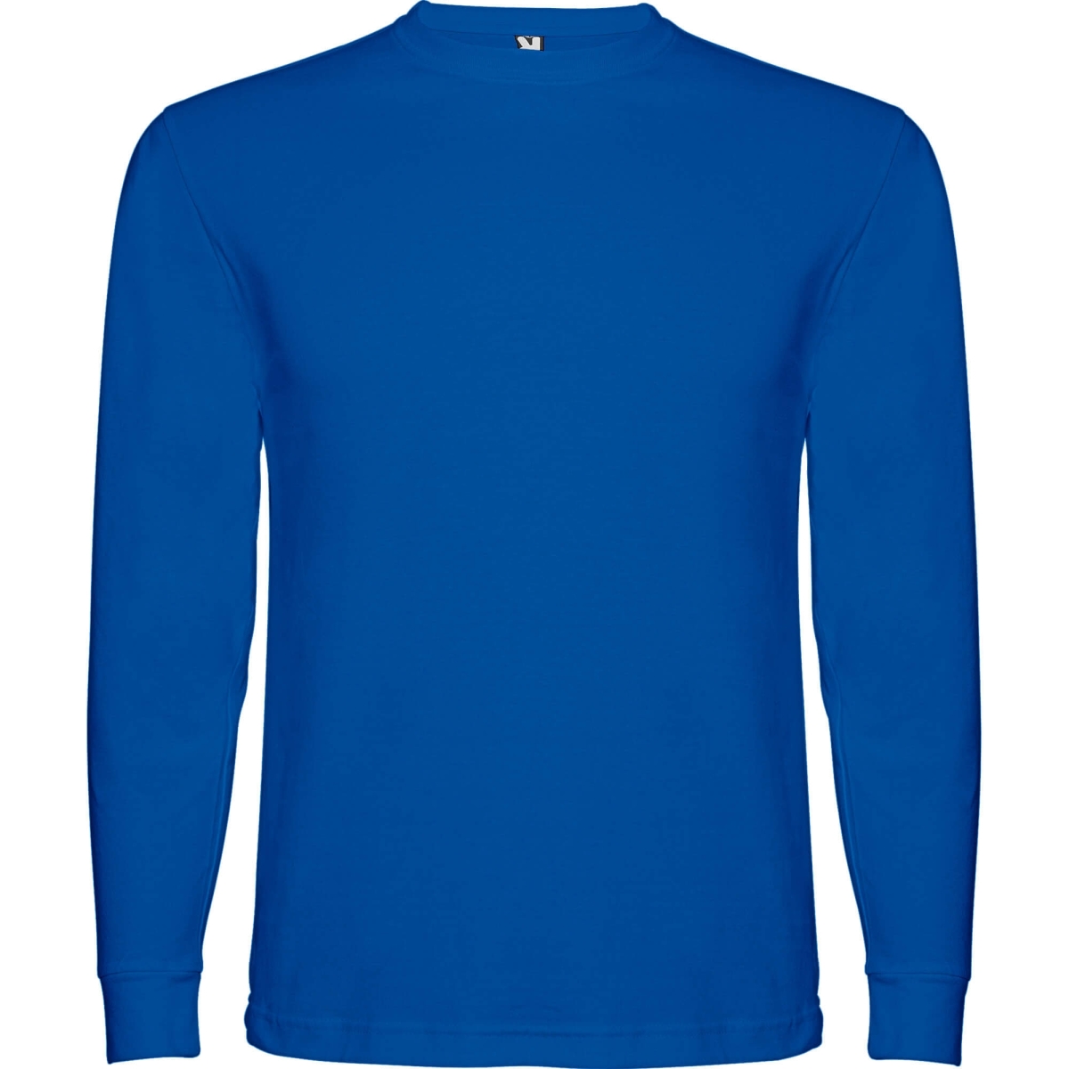Camiseta Roly Pointer Infantil | Toleshop