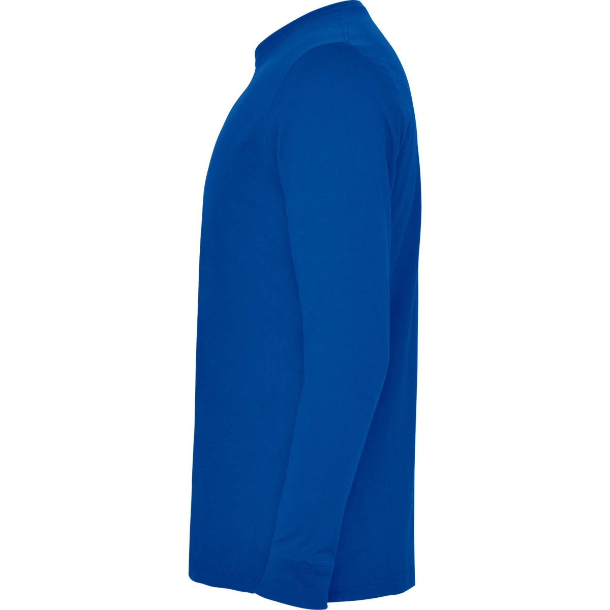 Camiseta Roly Pointer Infantil | Toleshop