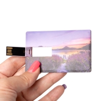 Memoria Usb Stamina Datis | Toleshop
