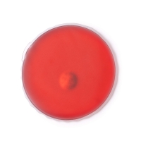 Parche Térmico Stamina Warmix | Toleshop
