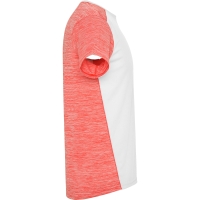 Camiseta Roly Zolder Infantil | Toleshop