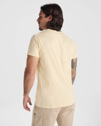Camiseta Roly Dogo Premium | Toleshop