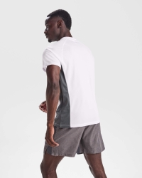 Camiseta Roly Shanghai | Toleshop