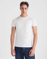 Camiseta Roly Teckel | Toleshop