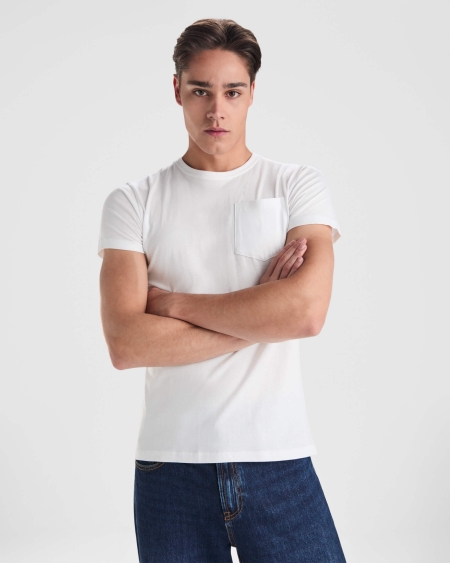Camiseta Roly Teckel | Toleshop 2