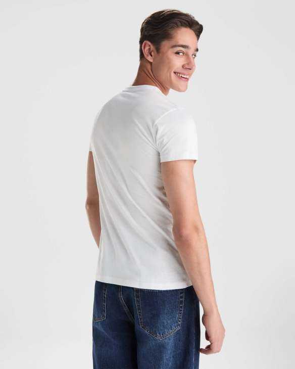 Camiseta Roly Teckel | Toleshop