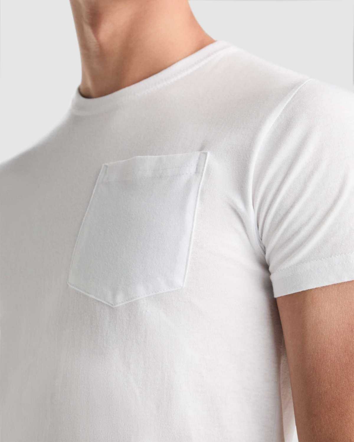 Camiseta Roly Teckel | Toleshop